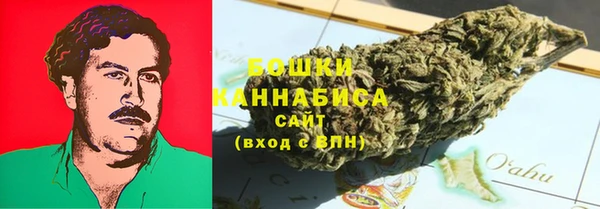 PSILOCYBIN Вяземский
