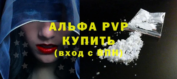 PSILOCYBIN Вяземский