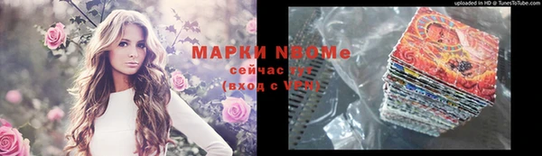 крисы Кодинск