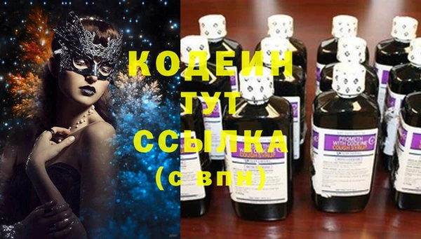 PSILOCYBIN Кулебаки
