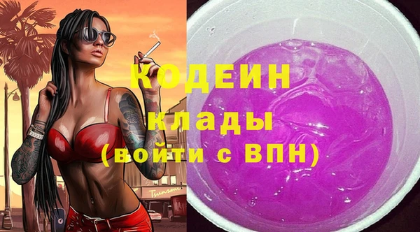 PSILOCYBIN Вяземский