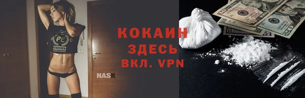 PSILOCYBIN Вяземский