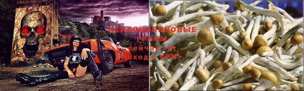 MDMA Вязьма