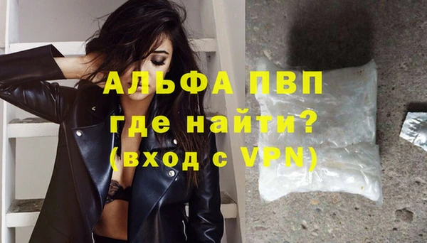 тгк Гусев