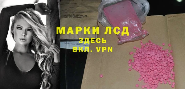 тгк Гусев