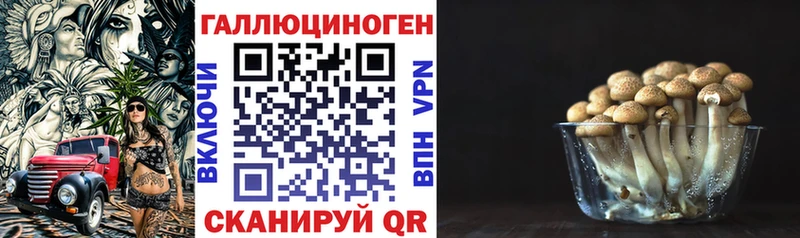 Псилоцибиновые грибы Cubensis  цены   ОМГ ОМГ как войти  Дегтярск 